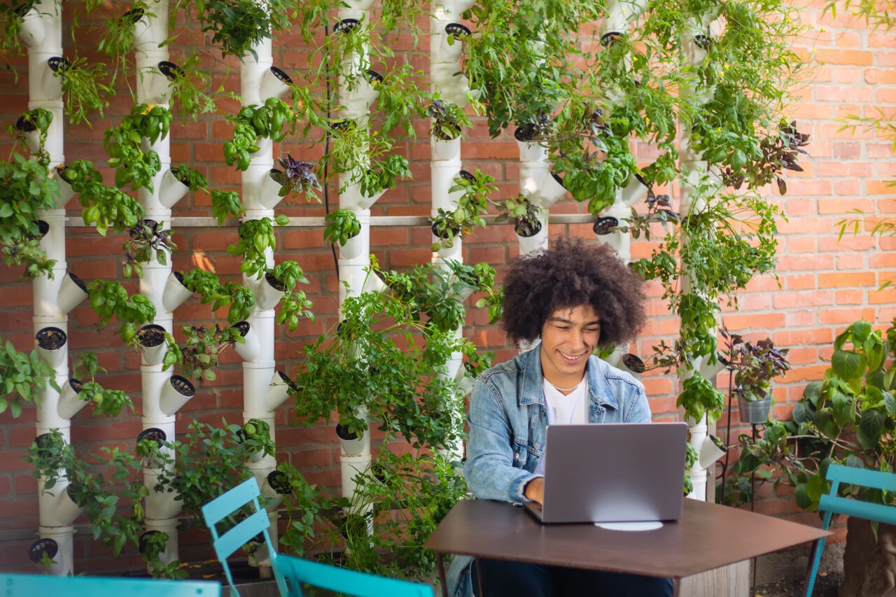 Плюсы и минусы жизнь в Бразилии