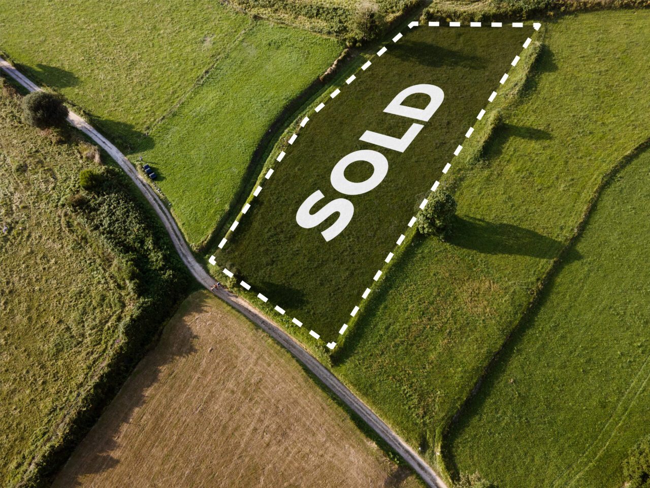 Договор безвозмездного пользования земельным участком 20 Договор безвозмездного пользования земельным участком