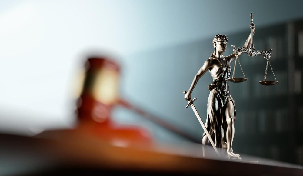 Виндикационный иск, в каких случаях нужно его подавать и как правильно составить