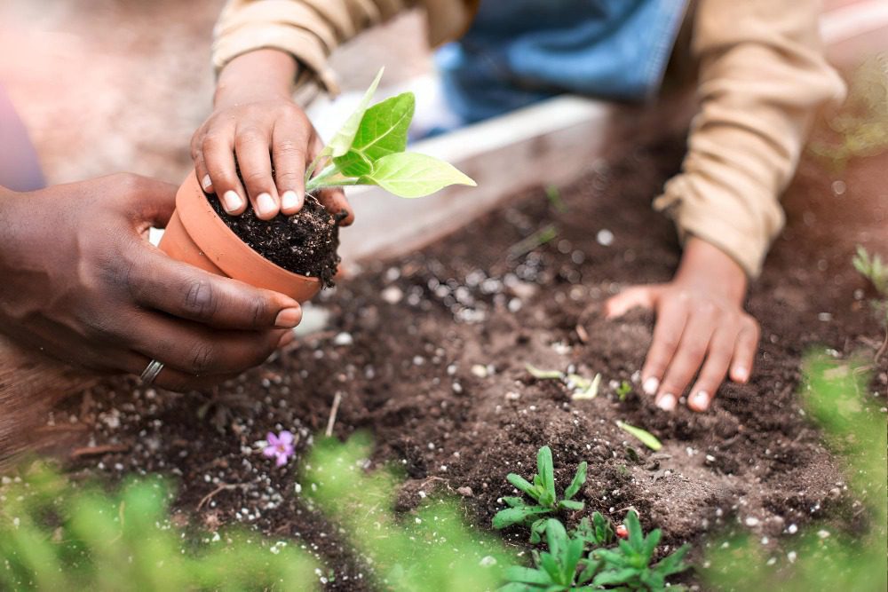 Бессрочное пользование землёй в 2026 году