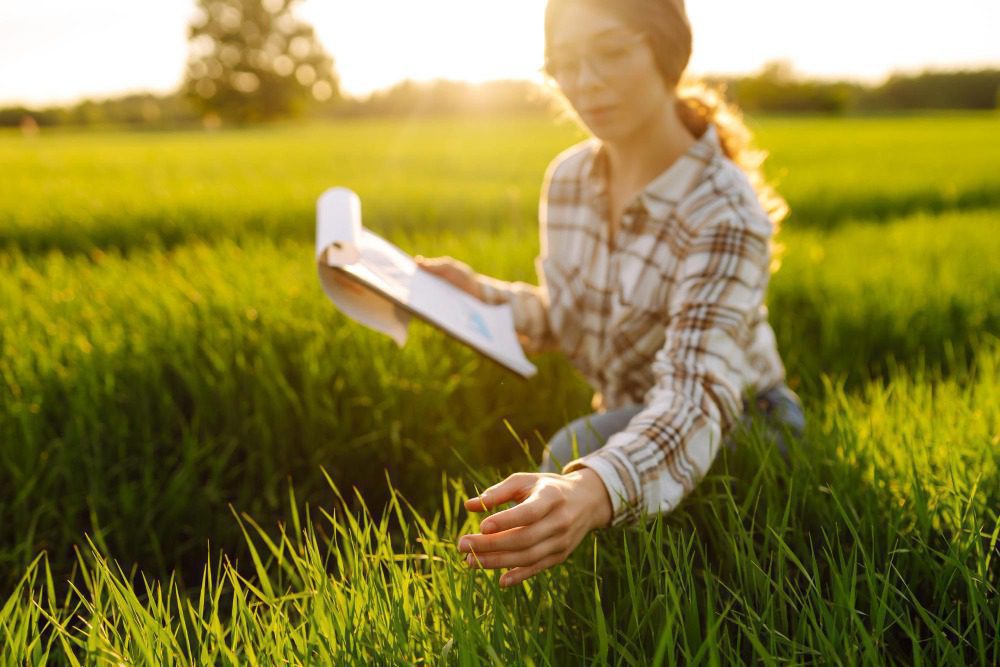 Бессрочное пользование землёй в 2026 году