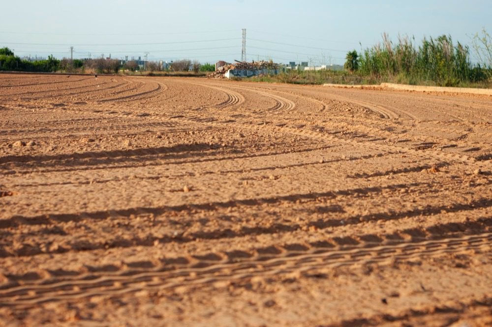 Бессрочное пользование землёй в 2026 году