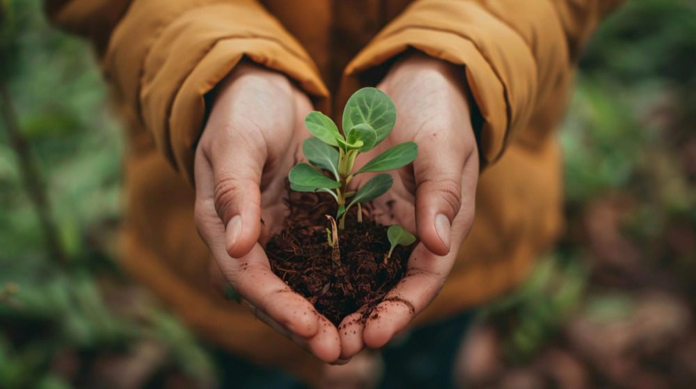 Бессрочное пользование землёй в [year] году