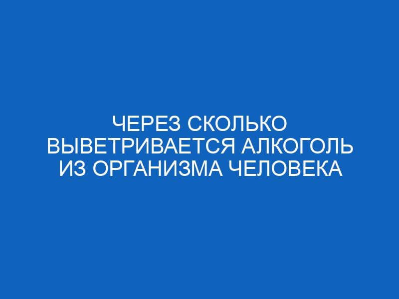 cherez skolko vyvetrivaetsya alkogol iz organizma cheloveka 16473