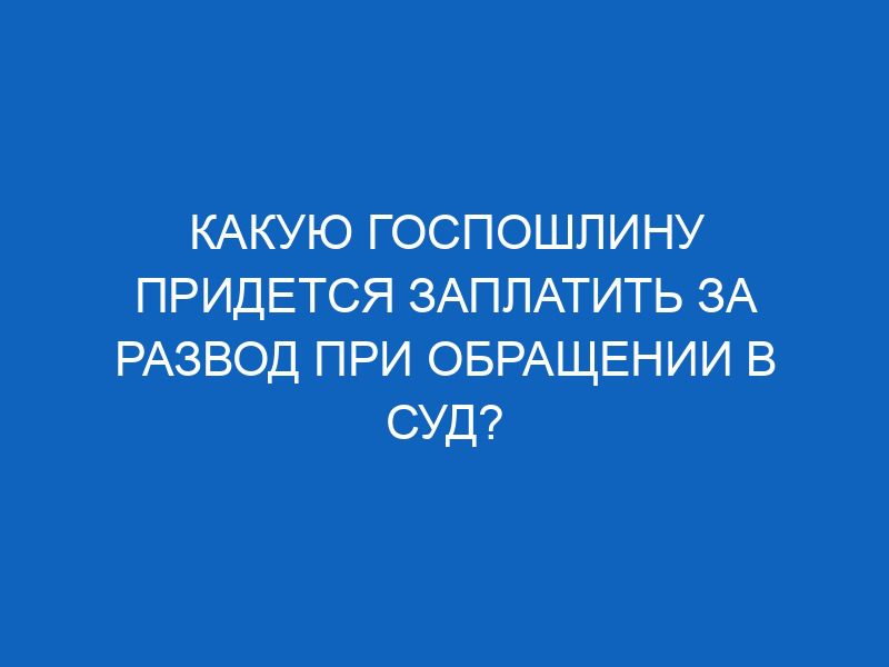 kakuyu gosposhlinu pridetsya zaplatit za razvod pri obraschenii v sud 16199