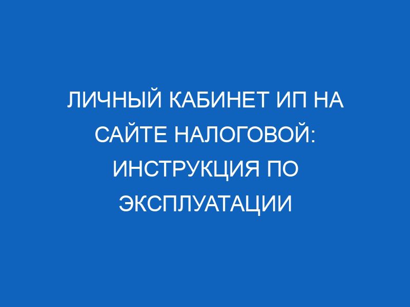 lichnyy kabinet ip na sayte nalogovoy instruktsiya po ekspluatatsii 16552