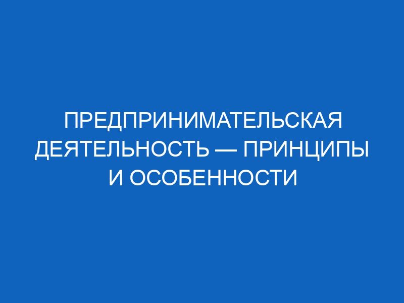 predprinimatelskaya deyatelnost printsipy i osobennosti 10824