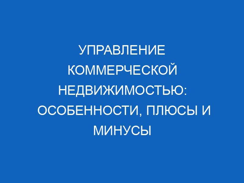 upravlenie kommercheskoy nedvizhimostyu osobennosti plyusy i minusy 3543